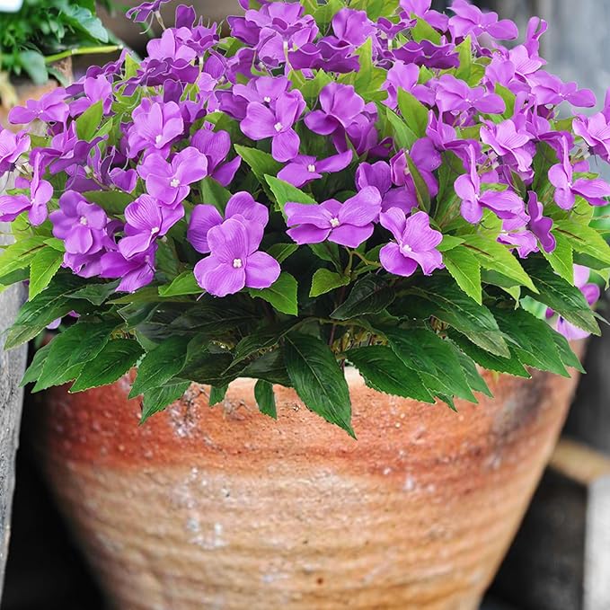 CITYES 4 Pcs Artificial Flowers Outdoor Impatiens UV Resistant Silk Impatiens Flowers Purple Faux Flowers Impatiens Bushes Artificial Impatiens for Pot Patio Lawn Garden Hanging Basket Porch Decor