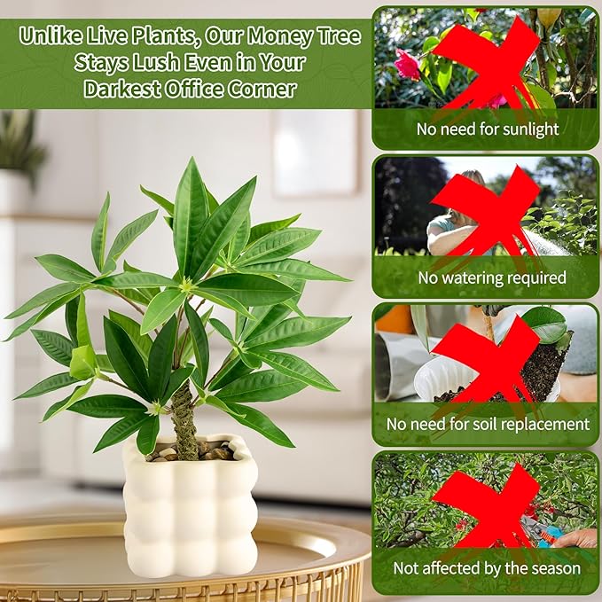 Small Money Tree Bonsai 10 inch Artificial Desk Plant in White Ceramic Pot, Realistic Indoor Faux Potted Pachira Money Plant for Home Office Living Room Decor(Maintenance Free)