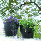 SwinDuck 8 inch Hanging Planters, 2 Pack Self Watering Hanging Pots with 20oZ Deep Reservoir for Indoor Outdoor Plants Flowers, Black