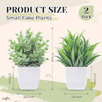 Der Rose 2 Pack Small Fake Plants Mini Artificial Potted Plants for Table Desk Home Laundry Room Bathroom Office Decor