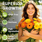 LUOJIBIE Calendula Seeds, Calendula Seeds for Planting Outdoor & Indoor, 4,000+ Pacific Beauty Mix Annual Flower Seeds Bulk, Non-GMO Flower Seeds, Large Blooms, Easy to Grow