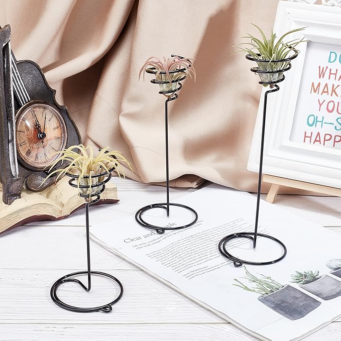 AHANDMAKER 6 Packs Airplant Planter Holder, 3 Sizes Air Plant Container Tillandsia Holder for Displaying Small Air Plant, Home Office Desktop Decoration