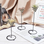 AHANDMAKER 6 Packs Airplant Planter Holder, 3 Sizes Air Plant Container Tillandsia Holder for Displaying Small Air Plant, Home Office Desktop Decoration