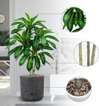 Artificial Dracaena Tree-4FT Fake Plants with White Planter-Artificial Plants Indoor Floor Plant in Pot-Tropical Fake Yucca Potted Tree for Home Office Living Room Decor