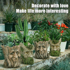 vomiceak Face Planter - Unique Old Man Tree Face Planters for Outdoor Indoor Plants with Drainage Hole, Funny Plant Pots for Succulents - Creative Flower Pots as Gifts for Women and Men (Green Man)