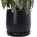 D'vine Dev 10 Inch Ceramic Beaded Stoneware Planter Pot - Flower Pot with Drainage Holes and Saucers for Indoor Succulent Plants or Flowers, Glossy Black, 27-C-P-2