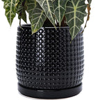 D'vine Dev 10 Inch Ceramic Beaded Stoneware Planter Pot - Flower Pot with Drainage Holes and Saucers for Indoor Succulent Plants or Flowers, Glossy Black, 27-C-P-2