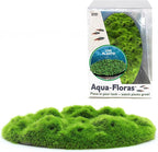 Penn-Plax Aqua Flora Moss Patch - Aquarium Living Resin Decoration with Embedded Glosso Seeds - Easy-Grow Freshwater Moss for Natural Aquascapes - Safe Resin Decor - Green, 4.3 x 2.87 x 0.8 Inches