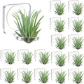 Jetec 24 Pcs Acrylic Air Plants Holder Hanger with Mounting Tape for Hanging Air Plants on Glass Display Home Decoration