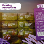 KVITER 75 Mix Jewel Nasturtium Seeds for Planting Outdoors (Tropaeolum Nanum) — Heirloom & Organic Seed Packet — Edible Flower Seeds to Plant Outside & Inside in Garden, Containers, Hanging Baskets