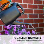 Chapin 48000 Watering Can, Garden, Indoor and Outdoor Plants, Recycled Plastic, Made in USA, Black, 0.5 Gallon (2.3 Liters)