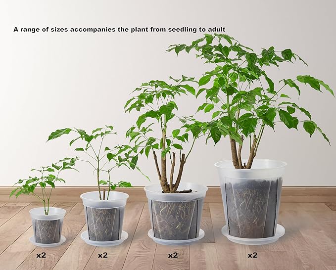 8 pcs 5/6/7/8 inch Large Clear Nursery pots for Plants with Saucers,Thick Plastic Nursery pots for Plants with Drainage Holes for Monstera Plant Live,Ariod,etc