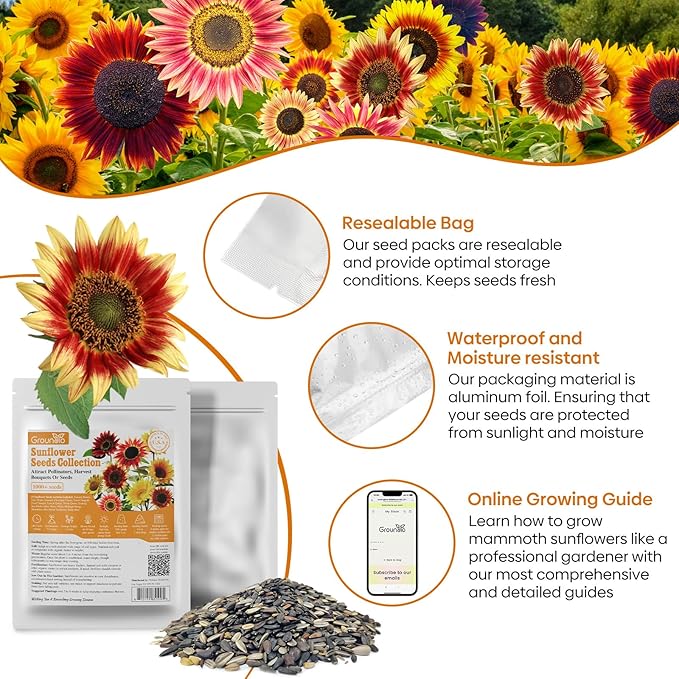 Groundio Sunflower Seeds for Planting, 15+ Varieties, 1 Oz, 300+ Mixed Seeds to Plant Colored Sunflower for Outdoors, Garden, Attracts Pollinators