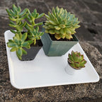 VUWEZ Rectangle Plant Tray, Plant Drip Tray, Plant Pot Saucers, Plant Germination Trays, Plant Saucers, 14.5'' x 11'' x 1.5'' (2 pack), Creamy White