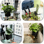 2 Pack Upgraded Adjustable Aquarium Plant Holder, Top Hanging Design Fish Tank Plant Holder, Adjustable Width Height, Fits Tank Edges up to 2.3 in, for Aquaponic Plants and Aquascape Decoration, Black