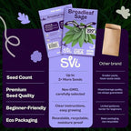 SVI 350 Broadleaf Sage Seeds (Salvia officinalis) - Common Sage, Heirloom Aromatic Herbs - Culinary Herb Seeds for Containers, Home, Kitchen Herb Garden