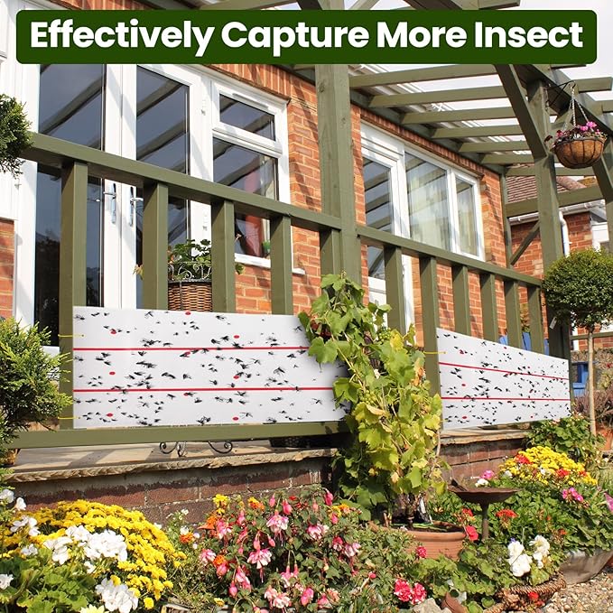 Qualirey Giant Sticky Fly Traps, Fly Strips for Indoor Outdoor Hanging Flying Tapes Non Toxic Ribbon Fruit Gnat Killer for Mosquito Plants House Horse Stable(295.3ft,White,10 Pcs)