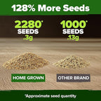 HOME GROWN German Chamomile Seed Pack 2,280 Non GMO Heirloom Seeds for Planting for Sustainable Gardens and Soothing Medicinal Herbal Teas (Matricaria chamomilla)