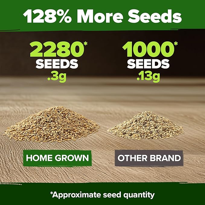 HOME GROWN German Chamomile Seed Pack 2,280 Non GMO Heirloom Seeds for Planting for Sustainable Gardens and Soothing Medicinal Herbal Teas (Matricaria chamomilla)