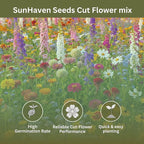 Cut Flower Garden Seed Mix – 15,000+ Seeds – 1 oz Extra Large Packet – Non-GMO Flower Seeds – Zinnia, Cosmos, Larkspur, Calendula, Bishop’s Flower & More for Bouquets & Cutting Gardens