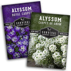 Alyssum Seeds for Planting – 2 Varieties | Purple Royal Carpet & White Carpet of Snow Sweet Alyssum – Seed to Plant Fragrant Heirloom Flowers & Ground Cover – Survival Garden Seeds