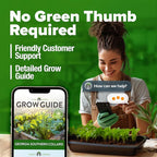 HOME GROWN Georgia Southern Collard Green Seeds 600+ Heirloom Non-GMO Seeds for Planting, High Germination, Heat Tolerant Leafy Green, Slow to Bolt, Nutritious Southern Classic (Brassica oleracea)