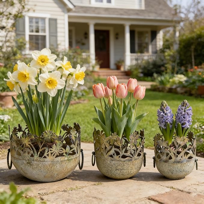 3 Piece Vintage Metal Planter Set, Rustic Distressed Farmhouse Flower Pots with Handles for Indoor Outdoor Garden, Tabletop Centerpieces & Wedding Decor