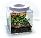Generic Tiny Terrarium Kit for Springtails (4x4 inch) - BioActive Enclosure, Live Tropical Plants, LED Grow Light, Soil & Drainage, White