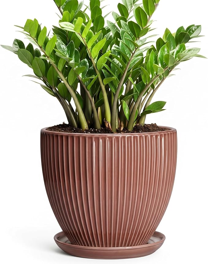 10 Inch Planter, Ceramic Flower Pot with Drainage Hole and Saucer, Round Indoor Plant Pots for Large Plants, Modern Decorative Planter, Home Kitchen Decor, Gifts for Men Women, Rust Red