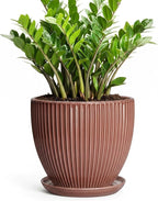 10 Inch Planter, Ceramic Flower Pot with Drainage Hole and Saucer, Round Indoor Plant Pots for Large Plants, Modern Decorative Planter, Home Kitchen Decor, Gifts for Men Women, Rust Red