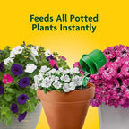Miracle-Gro Pour & Feed Plant Food - Outdoor and Indoor Plant Fertilizer for Containers, Instantly Feeds, 32 fl. oz.