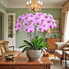 Htmeing 38 Inch Artificial Phalaenopsis Flowers Branches Real Touch (Not Silk) Orchids Flowers for Home Office Wedding Decoration,Pack of 2 (Pink)