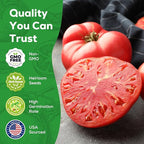 Beefsteak Tomato Seeds for Planting - Non-GMO, Heirloom - 200 Indeterminate Tomato Seeds, Vegetable Seed Packet with Instructions for Planting Home Garden Indoor & Outdoor