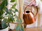 Plexon Rose Gold Metal Watering Can Indoor Plants 40 oz, Stainless Steel Long Spout Watering Can Outdoor House Plant Flower, Garden