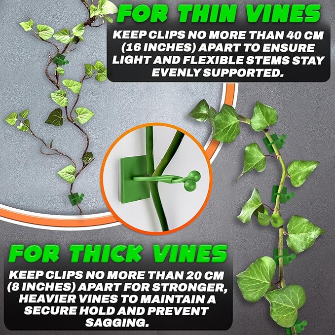 Plant Wall Clips for Climbing Plants 110 Pcs - Pothos Plant Climber Support, Large, Medium, Small Sizes Wall Clips for Support, Strong Self-Adhesive, For Indoor Plants, Cable Management & Plant Holder