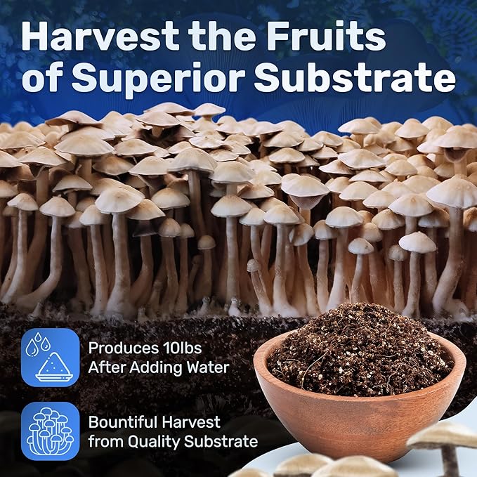 Surfin' Spores CVG Mushroom Substrate | Dry Bulk Substrate for Mushroom Growing | Makes 20 lbs of Pasteurized Substrate | Perfect for Monotub Grows | Coco Coir, Vermiculite, Gypsum