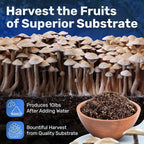 Surfin' Spores CVG Mushroom Substrate | Dry Bulk Substrate for Mushroom Growing | Makes 40 lbs of Pasteurized Substrate | Perfect for Monotub Grows | Coco Coir, Vermiculite, Gypsum