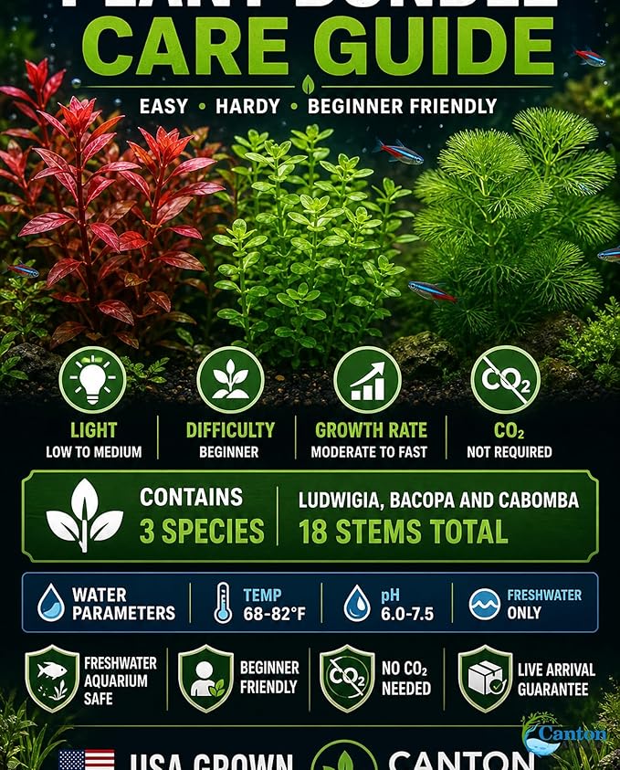 Live Freshwater Aquarium Plant Bundle Mixed Stem Plants for Fish Tanks