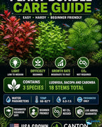 Live Freshwater Aquarium Plant Bundle Mixed Stem Plants for Fish Tanks
