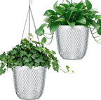 QCQHDU Self Watering Hanging Pots, 2 Pack 5.7 Inch Hanging Planters for Plants Indoor, Flower Pots with Drainage Holes and 3 Hooks Chains for Garden Home (Clear)
