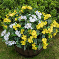 Nigirior Artificial Fake Flowers for Outdoor Décor 6 Bundles UV Resistant Fake Plants for Planter Faux Impatiens for Home Porch/Garden Stunning（Yellow/White）