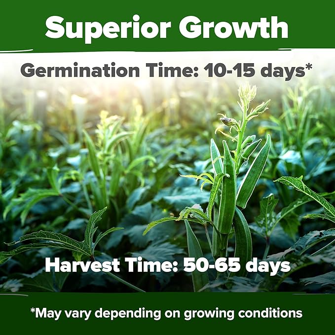 HOME GROWN Clemson Spineless Okra Seeds 202+ Heirloom Non-GMO Seeds for Planting, High Germination, Prolific Heat Loving Vegetable, Tender Pods, Easy to Harvest Home Garden (Abelmoschus esculentus)