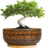 Eightpot Bonsai Pots 8 Inch - Ceramic Succulent Planters for Indoor Plants, Shallow Plant Pots with Drainage Hole and Saucer, Boho Round Planter Bowl, Office Decor, Brown