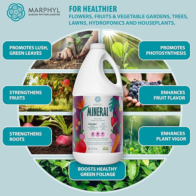MARPHYL Organic Minerals Liquid Fertilizer – Essential Trace Mineral Blend for Healthy Plant Growth, Improves Nutrient Uptake for Garden Flowers, Vegetables, Succulents & Hydroponics