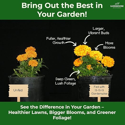 Gardenwise 13-13-13 Slow Release Granular Fertilizer – All Purpose Plant Food 13 13 13 for Outdoor Grass, Vegetables, Roses, Flowers, Shrubs, Trees. Lawns, Gardens, Potted Plants (20 quarts)