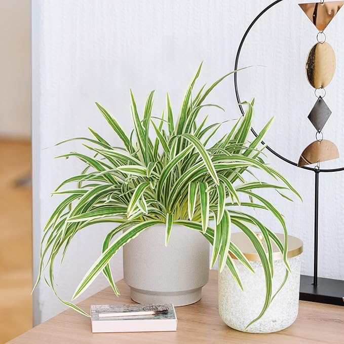Artificial Spider Plant Large 23.6In Fake Greenery Plants UV Resistant Outside Faux Plants Bushes for Indoor Table Outdoor Planter Decor (4)