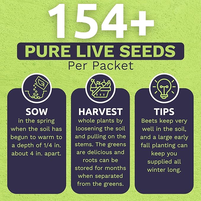 Organic Beet Seeds ‘Detroit Dark Red’ – Two Seed Packets! – Over 308 Heirloom USDA Organic Non-GMO Seeds – Sweet Yards Seed Co.
