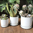 Yukfona Ceramic Plant Saucer Pot Tray 6、8、10 Inch White, Planter Saucers for Indoors Outdoor, Durable Sturdy Flower Drainage drip Water Tray for Glazed Pots Base