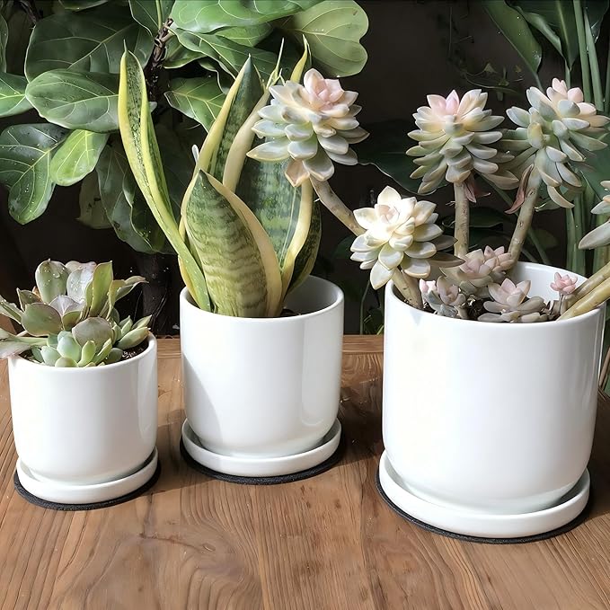 Yukfona Ceramic Plant Saucer Pot Tray 6、8、10 Inch White, Planter Saucers for Indoors Outdoor, Durable Sturdy Flower Drainage drip Water Tray for Glazed Pots Base