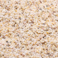 Coarse Sand. Golden Color. 1/8 Inch 10 lbs. for Potting Soil, Succulents, Pots, Plants, Gardening, Indoor, Crafting, Vase Fillers, Landscaping (X-Mini, COARSE Sand - Golden, 10)